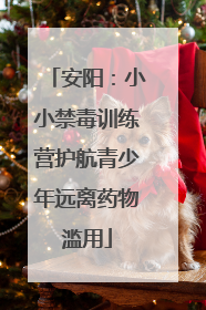 安阳：小小禁毒训练营护航青少年远离药物滥用