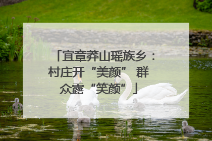 宜章莽山瑶族乡：村庄开“美颜” 群众露“笑颜”