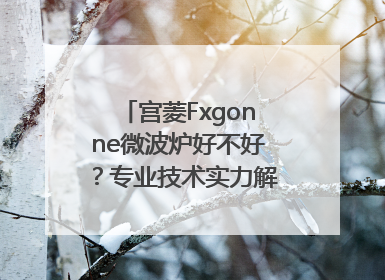 宫菱Fxgonne微波炉好不好？专业技术实力解析，绝对真实