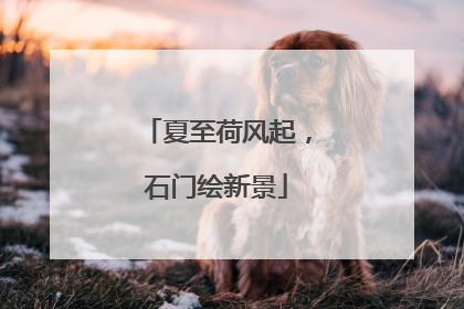 夏至荷风起，石门绘新景