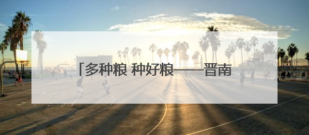 多种粮 种好粮——晋南“麦田夫妻档”忙夏收
