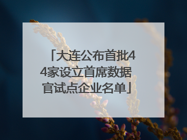 大连公布首批44家设立首席数据官试点企业名单