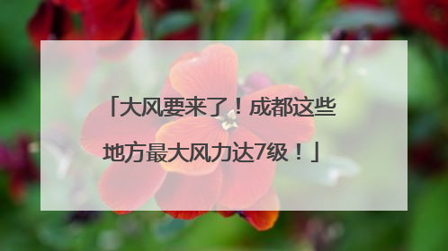 大风要来了！成都这些地方最大风力达7级！