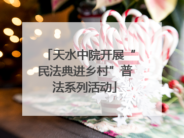 天水中院开展“民法典进乡村”普法系列活动