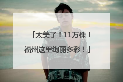 太美了！11万株！福州这里绚丽多彩！