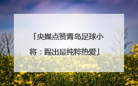 央媒点赞青岛足球小将：踢出最纯粹热爱