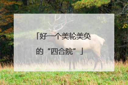 好一个美轮美奂的“四合院”
