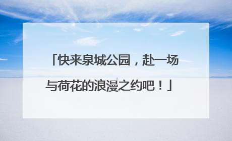 快来泉城公园，赴一场与荷花的浪漫之约吧！