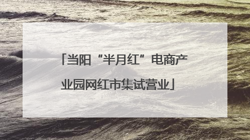 当阳“半月红”电商产业园网红市集试营业