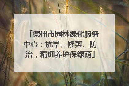 德州市园林绿化服务中心：抗旱、修剪、防治，精细养护保绿荫