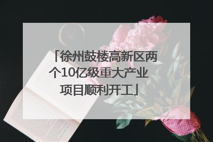 徐州鼓楼高新区两个10亿级重大产业项目顺利开工