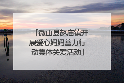 微山县赵庙镇开展爱心妈妈蓄力行动集体关爱活动