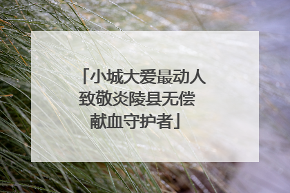 小城大爱最动人 致敬炎陵县无偿献血守护者