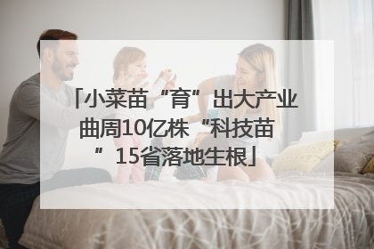 小菜苗“育”出大产业 曲周10亿株“科技苗”15省落地生根