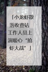 小龙虾散落收费站 工作人员上演暖心“抢虾大战”