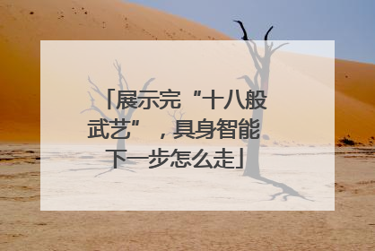 展示完“十八般武艺”,具身智能下一步怎么走