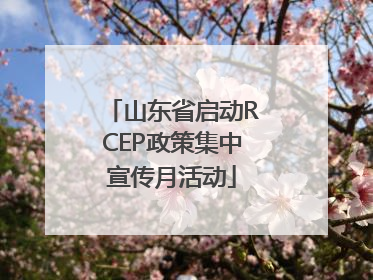 山东省启动RCEP政策集中宣传月活动