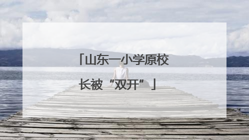 山东一小学原校长被“双开”