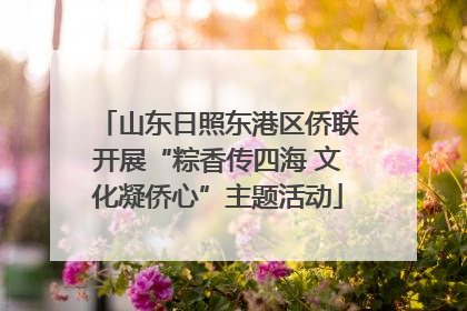 山东日照东港区侨联开展“粽香传四海 文化凝侨心”主题活动