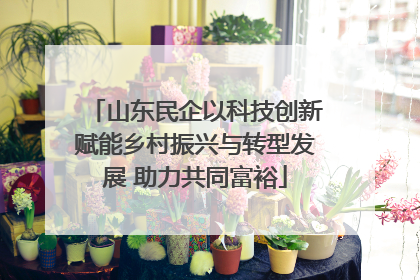山东民企以科技创新赋能乡村振兴与转型发展 助力共同富裕