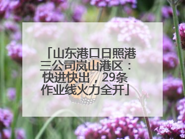山东港口日照港三公司岚山港区：快进快出，29条作业线火力全开