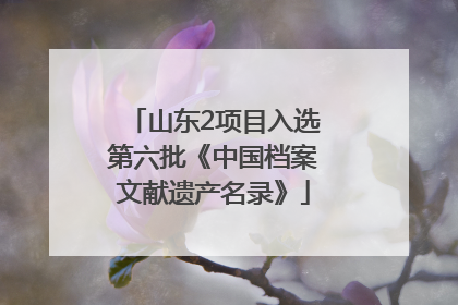 山东2项目入选第六批《中国档案文献遗产名录》