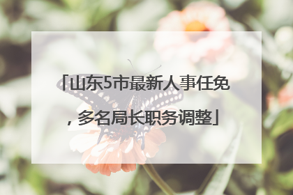 山东5市最新人事任免，多名局长职务调整