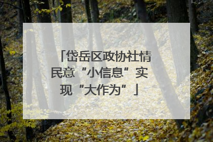 岱岳区政协社情民意“小信息”实现“大作为”