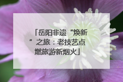 岳阳非遗“焕新”之旅：老技艺点燃旅游新烟火