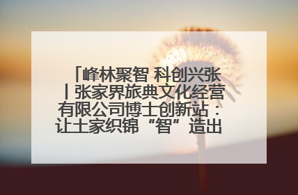 峰林聚智 科创兴张丨张家界旅典文化经营有限公司博士创新站：让土家织锦“智”造出非遗新传奇