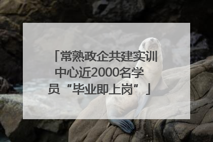 常熟政企共建实训中心近2000名学员“毕业即上岗”