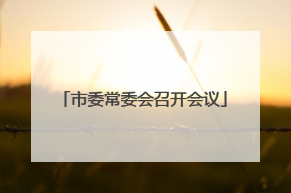 市委常委会召开会议