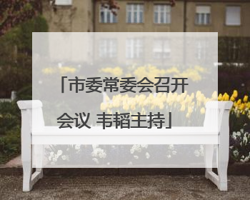 市委常委会召开会议 韦韬主持