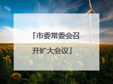 市委常委会召开扩大会议