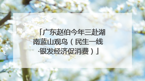广东赵伯今年三赴湖南蓝山观鸟（民生一线·银发经济促消费）