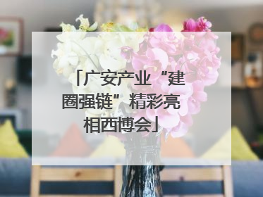 广安产业“建圈强链”精彩亮相西博会
