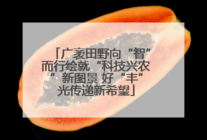 广袤田野向“智”而行绘就“科技兴农”新图景 好“丰”光传递新希望