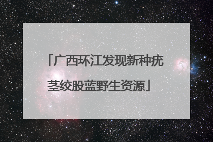 广西环江发现新种疣茎绞股蓝野生资源