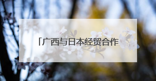 广西与日本经贸合作交流会在南宁举办