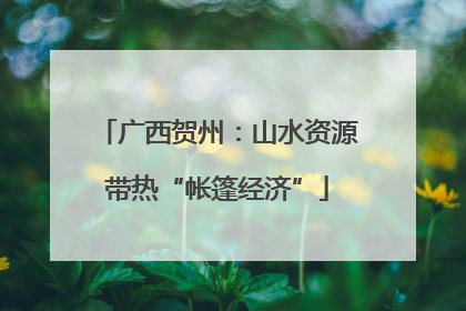 广西贺州：山水资源带热“帐篷经济”