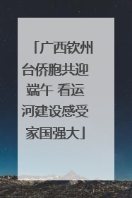 广西钦州台侨胞共迎端午 看运河建设感受家国强大