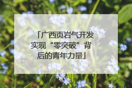广西页岩气开发实现“零突破”背后的青年力量