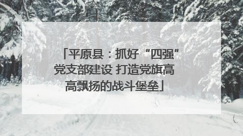 平原县：抓好“四强”党支部建设 打造党旗高高飘扬的战斗堡垒