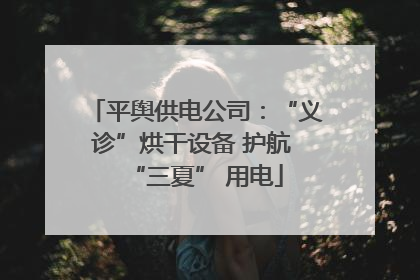 平舆供电公司：“义诊”烘干设备 护航 “三夏” 用电