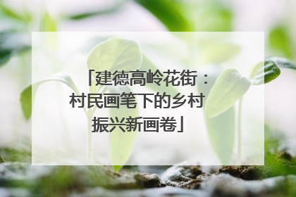 建德高岭花街：村民画笔下的乡村振兴新画卷