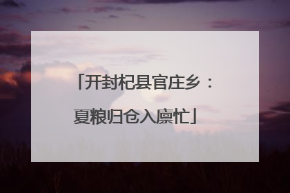 开封杞县官庄乡：夏粮归仓入廪忙