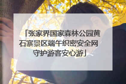 张家界国家森林公园黄石寨景区端午织密安全网 守护游客安心游