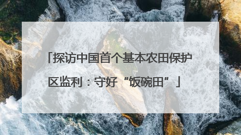探访中国首个基本农田保护区监利：守好“饭碗田”