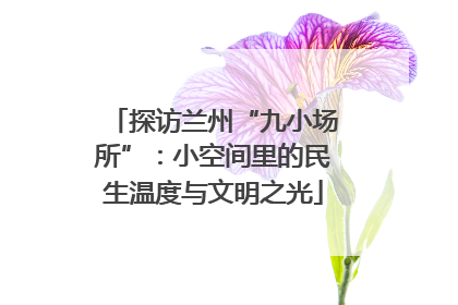 探访兰州“九小场所”：小空间里的民生温度与文明之光
