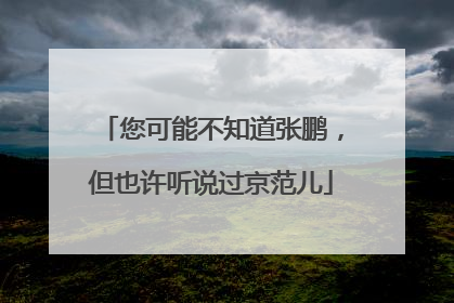 您可能不知道张鹏，但也许听说过京范儿